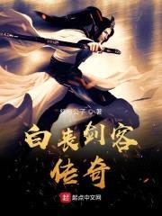白丧剑客传奇封面