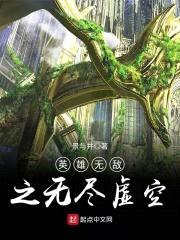 英雄无敌之无尽虚空封面