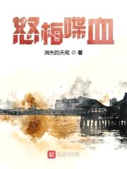 怒梅喋血封面