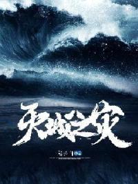 灭城之灾封面