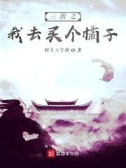 三国之我去买个橘子封面