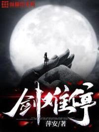 剑难停封面