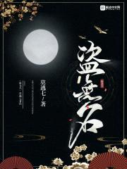 盗无名封面