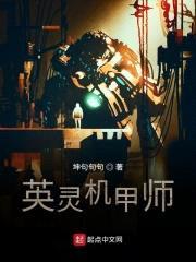 英灵机甲师封面