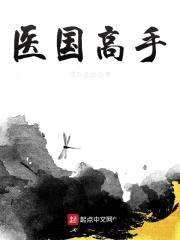 医国高手封面