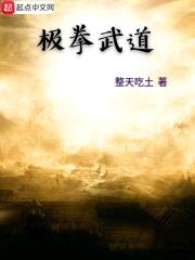 极拳武道封面