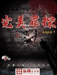 完美罪探封面