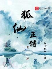 狐仙正传封面