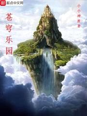 苍穹乐园封面