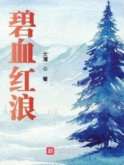 碧血红浪封面