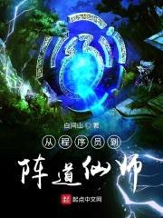 从程序员到阵道仙师封面