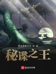 秘谍之王封面