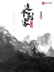 这个刺客有毛病封面