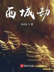 西城劫封面