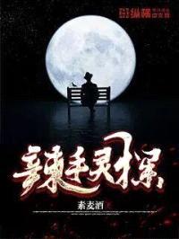 辣手灵探封面