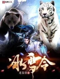 冰雪令封面