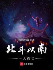北斗以南一人而已封面