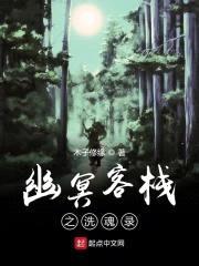 幽冥客栈之洗魂录封面