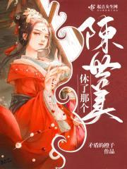 休了那个陈世美封面