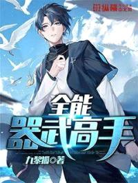 全能器武高手封面