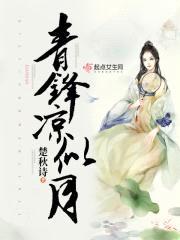 青锋凉似月封面