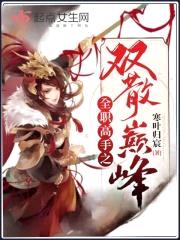 全职高手之双散巅峰封面
