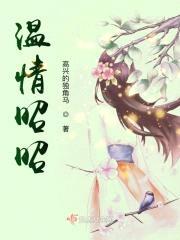 温情昭昭封面