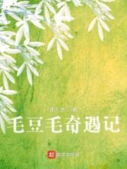 毛豆毛奇遇记封面