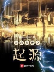 传承手艺人的爱情故事封面