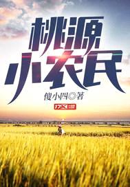 桃源小农民封面