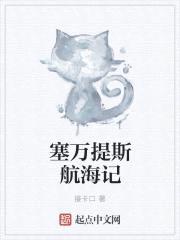 塞万提斯航海记封面