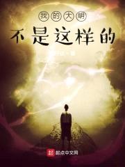 我的大明不是这样的封面