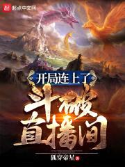 开局连上了斗破直播间封面