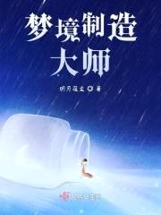 梦境制造大师封面