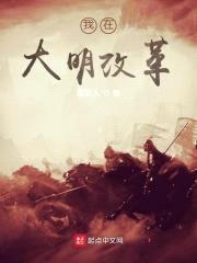 我在大明改革封面