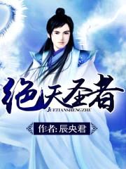 绝天圣者封面