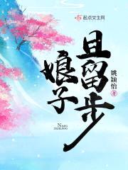 娘子且留步封面