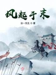 风起于末封面