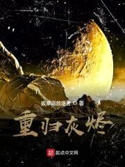 重归灰烬封面