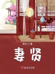 妻贤封面
