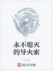 永不熄灭的导火索封面