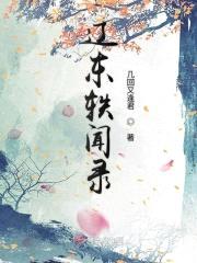 辽东轶闻录封面
