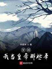 穿越：我当皇帝那些年封面