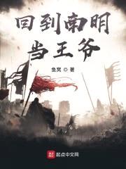 回到南明当王爷封面