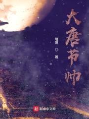 大唐节帅封面