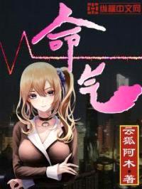 命气封面