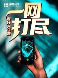 一网打尽封面