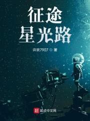 征途：星光路封面