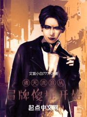 四合院之冒牌傻柱封面