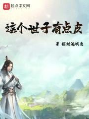 这个世子有点皮封面